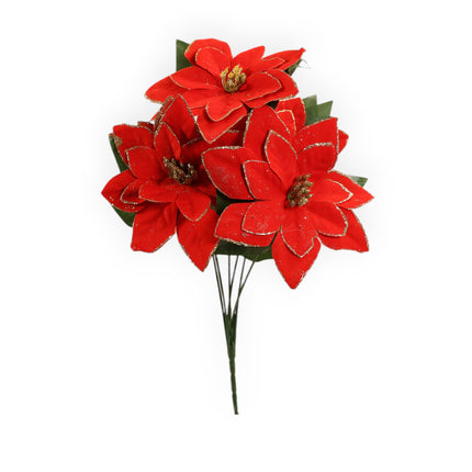 NocheBuena con Filo Diamantina x6