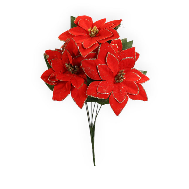 NocheBuena con Filo Diamantina x6