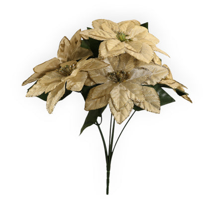 NocheBuena con Filo Diamantina x6