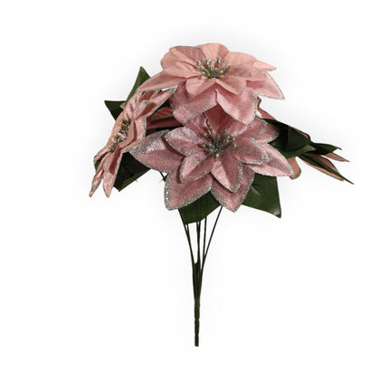 NocheBuena con Filo Diamantina x6