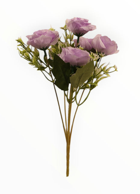Rosa Abierta ch x6