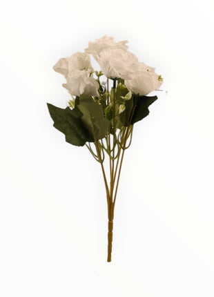 Rosa Abierta ch x6