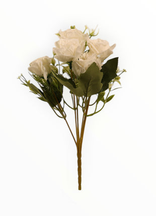 Rosa Abierta ch x6