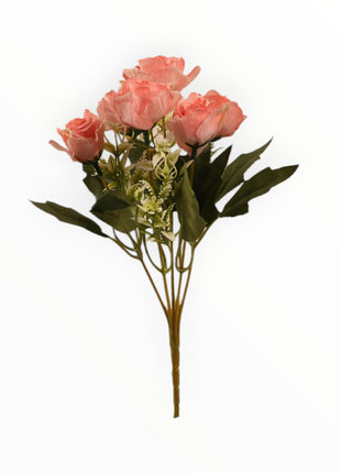 Rosa Abierta ch x6
