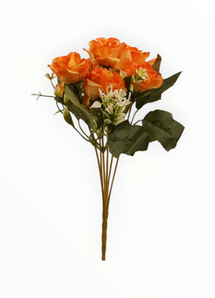 Rosa Abierta ch x6