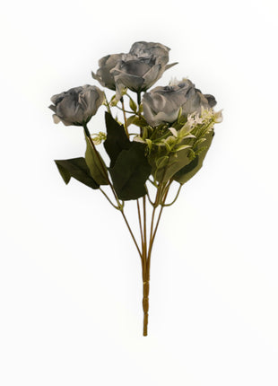 Rosa Abierta ch x6