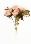 Rosa-2