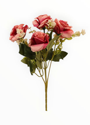 Rosa ch x5 Follaje Cilantro