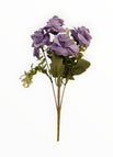 Morado