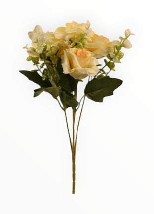 Rosa ch x5 Follaje Cilantro