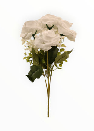 Rosa ch x5 Follaje Cilantro