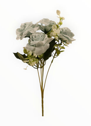 Rosa ch x5 Follaje Cilantro