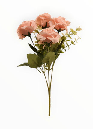Rosa ch x5 Follaje Cilantro