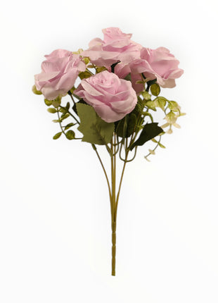 Rosa ch x5 Follaje Cilantro
