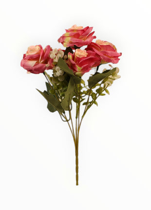 Rosa ch x5 Follaje Cilantro
