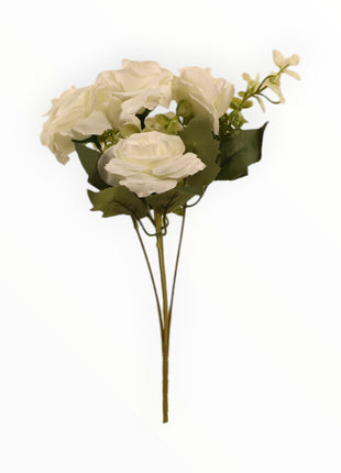 Rosa ch x5 Follaje Cilantro