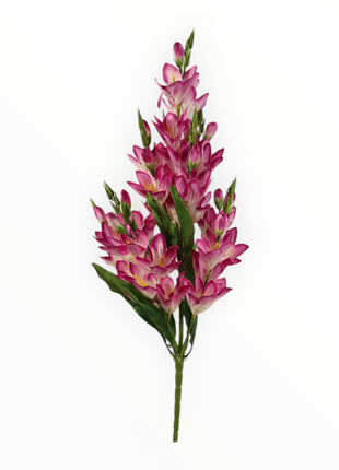 Vara Orquídea