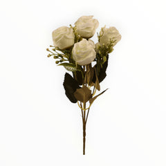 Collection image for: Rosas