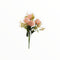 Peonias