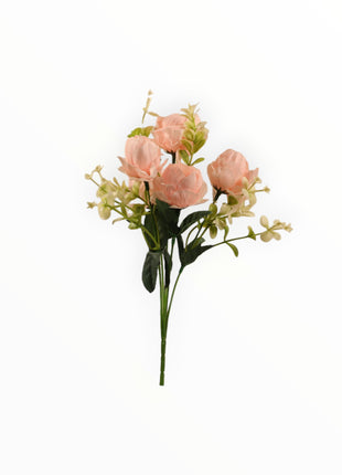Mini Peonia x5 Follaje Estrellita