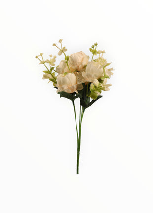 Mini Peonia x5 Follaje Estrellita