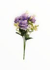 Morado