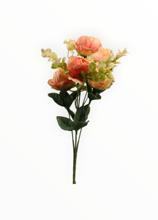 Mini Peonia x5 Follaje Estrellita