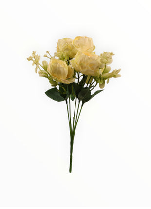 Mini Peonia x5 Follaje Estrellita