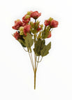 Palo de Rosa