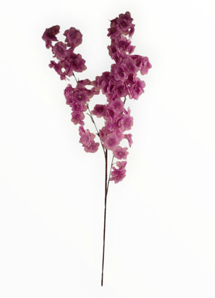 Vara Cerezo