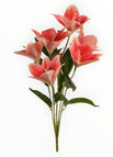 Fiusha