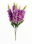 Morado