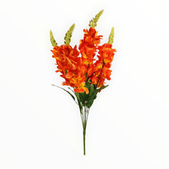 Collection image for: Vara