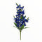Orquidea