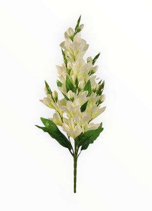 Vara Orquídea
