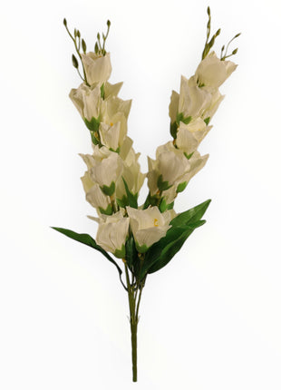 Vara Orquídea