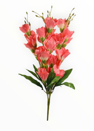 Vara Orquídea