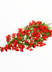 Rojo