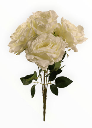 Ramo Rosas x5