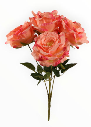 Ramo Rosas x5