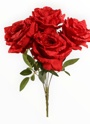 Ramo Rosas x5