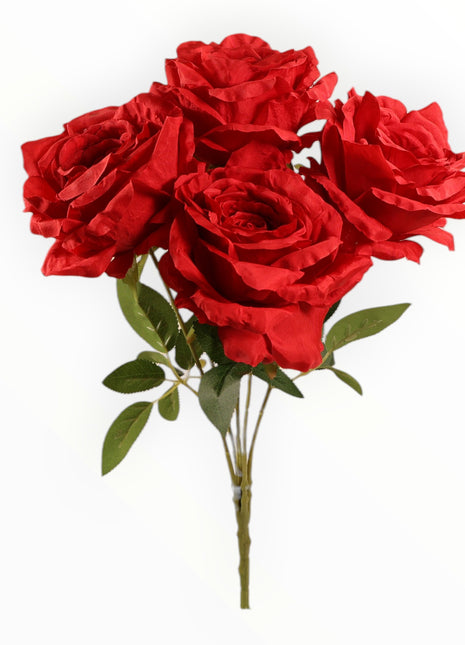 Ramo Rosas x5