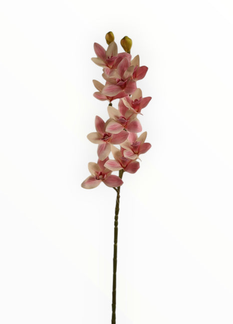 Vara Orquídea Cattleya