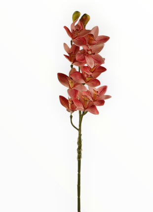 Vara Orquídea Cattleya