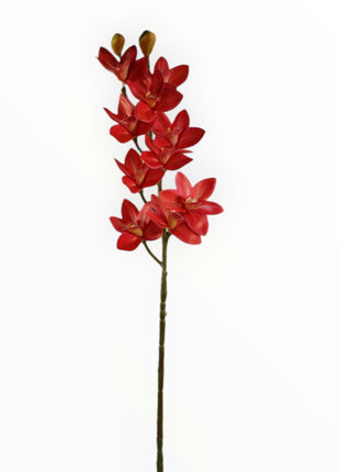 Vara Orquídea Cattleya