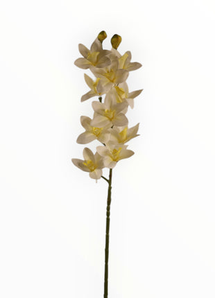 Vara Orquídea Cattleya