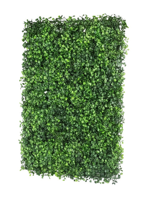 Muro Verde 40cm x 60cm