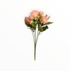 Collection image for: Rosas