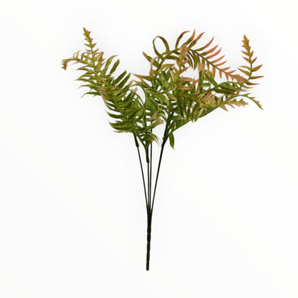 2651 Follaje Helecho