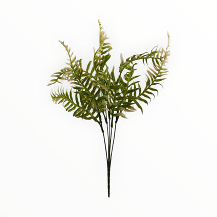 2651 Follaje Helecho